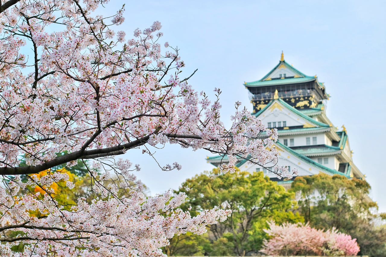 Japan Urlaub Kirschblüten Tempel Kulturelle Reisen Japan als Reiseziel